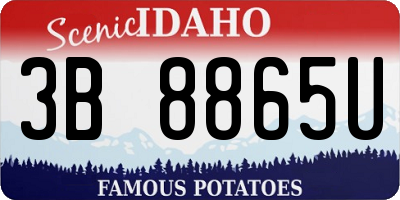 ID license plate 3B8865U