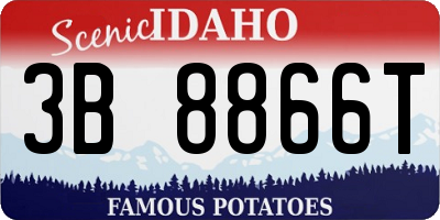 ID license plate 3B8866T