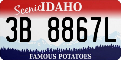 ID license plate 3B8867L