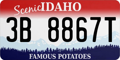 ID license plate 3B8867T