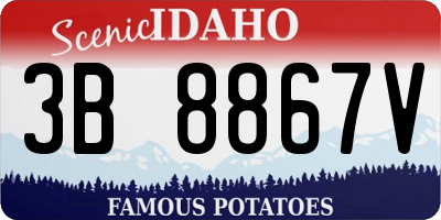 ID license plate 3B8867V