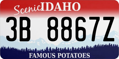 ID license plate 3B8867Z