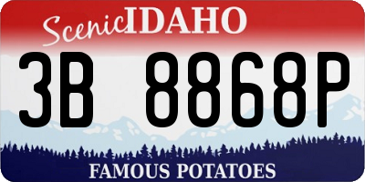 ID license plate 3B8868P
