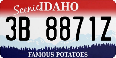 ID license plate 3B8871Z