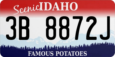 ID license plate 3B8872J