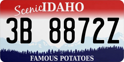 ID license plate 3B8872Z