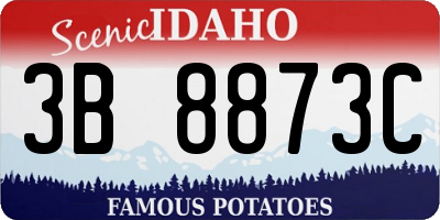 ID license plate 3B8873C