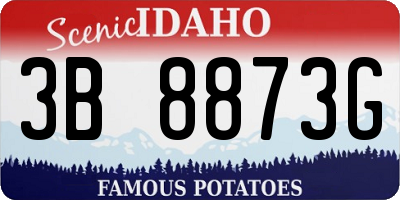 ID license plate 3B8873G