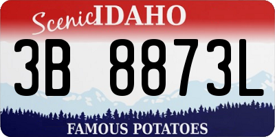 ID license plate 3B8873L