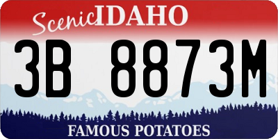ID license plate 3B8873M