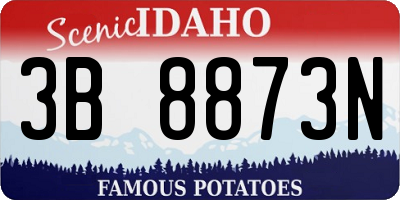 ID license plate 3B8873N