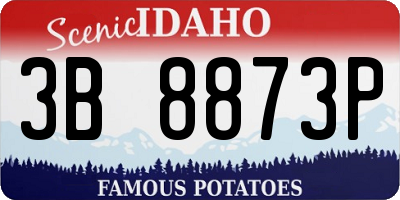 ID license plate 3B8873P
