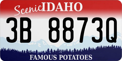 ID license plate 3B8873Q