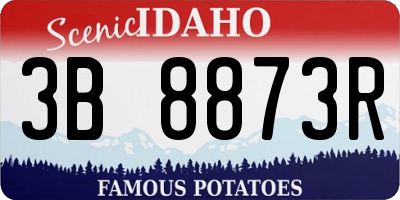 ID license plate 3B8873R