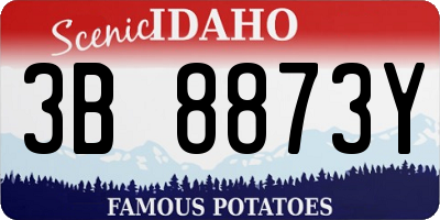 ID license plate 3B8873Y
