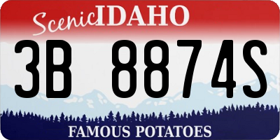 ID license plate 3B8874S