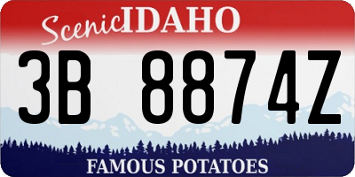 ID license plate 3B8874Z