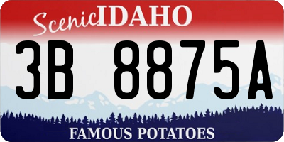 ID license plate 3B8875A