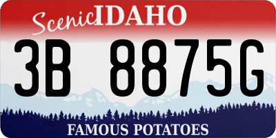 ID license plate 3B8875G