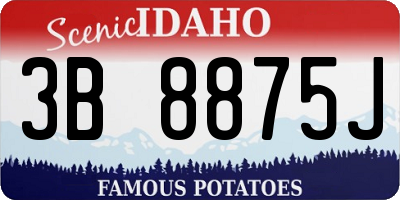 ID license plate 3B8875J
