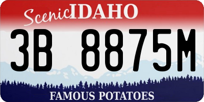 ID license plate 3B8875M