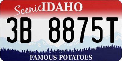 ID license plate 3B8875T