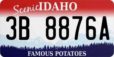 ID license plate 3B8876A