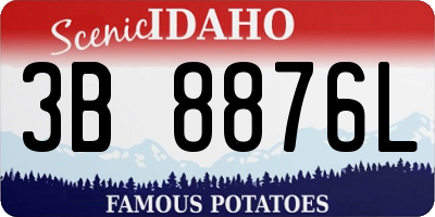 ID license plate 3B8876L