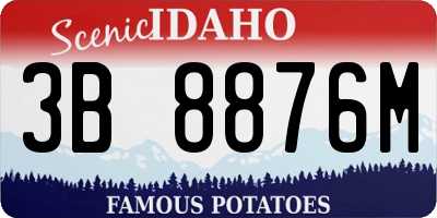 ID license plate 3B8876M