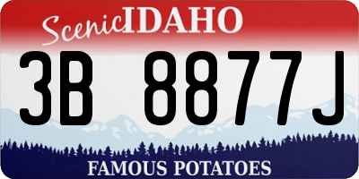 ID license plate 3B8877J
