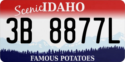ID license plate 3B8877L