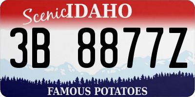 ID license plate 3B8877Z
