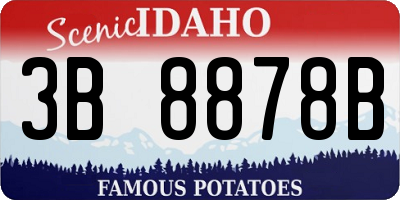 ID license plate 3B8878B