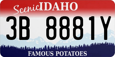 ID license plate 3B8881Y