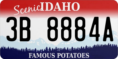 ID license plate 3B8884A