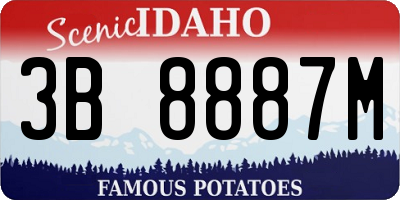 ID license plate 3B8887M