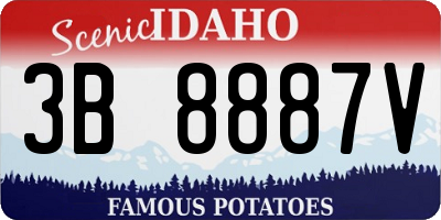ID license plate 3B8887V