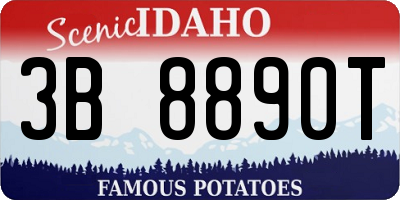 ID license plate 3B8890T