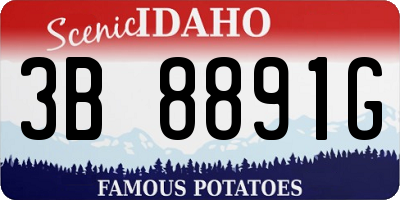 ID license plate 3B8891G