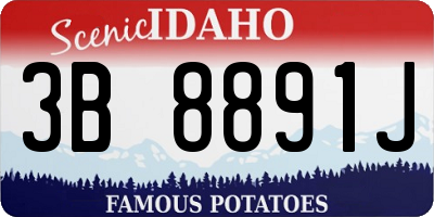 ID license plate 3B8891J