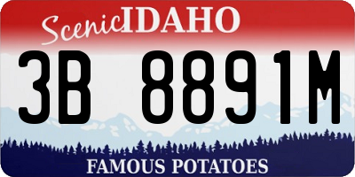 ID license plate 3B8891M
