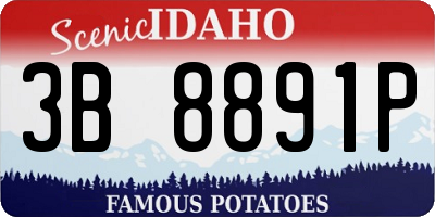 ID license plate 3B8891P