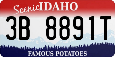 ID license plate 3B8891T