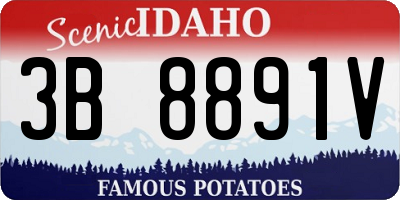 ID license plate 3B8891V