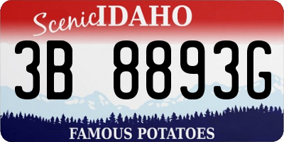 ID license plate 3B8893G
