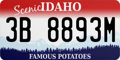 ID license plate 3B8893M