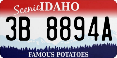 ID license plate 3B8894A