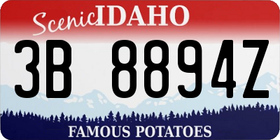 ID license plate 3B8894Z