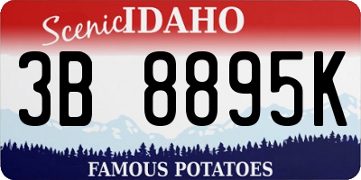 ID license plate 3B8895K