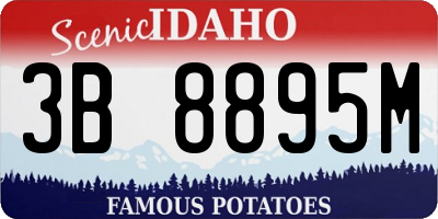 ID license plate 3B8895M